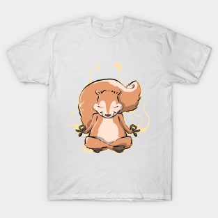 Yoga Spiritual Squirrel Pet Owners T-Shirt